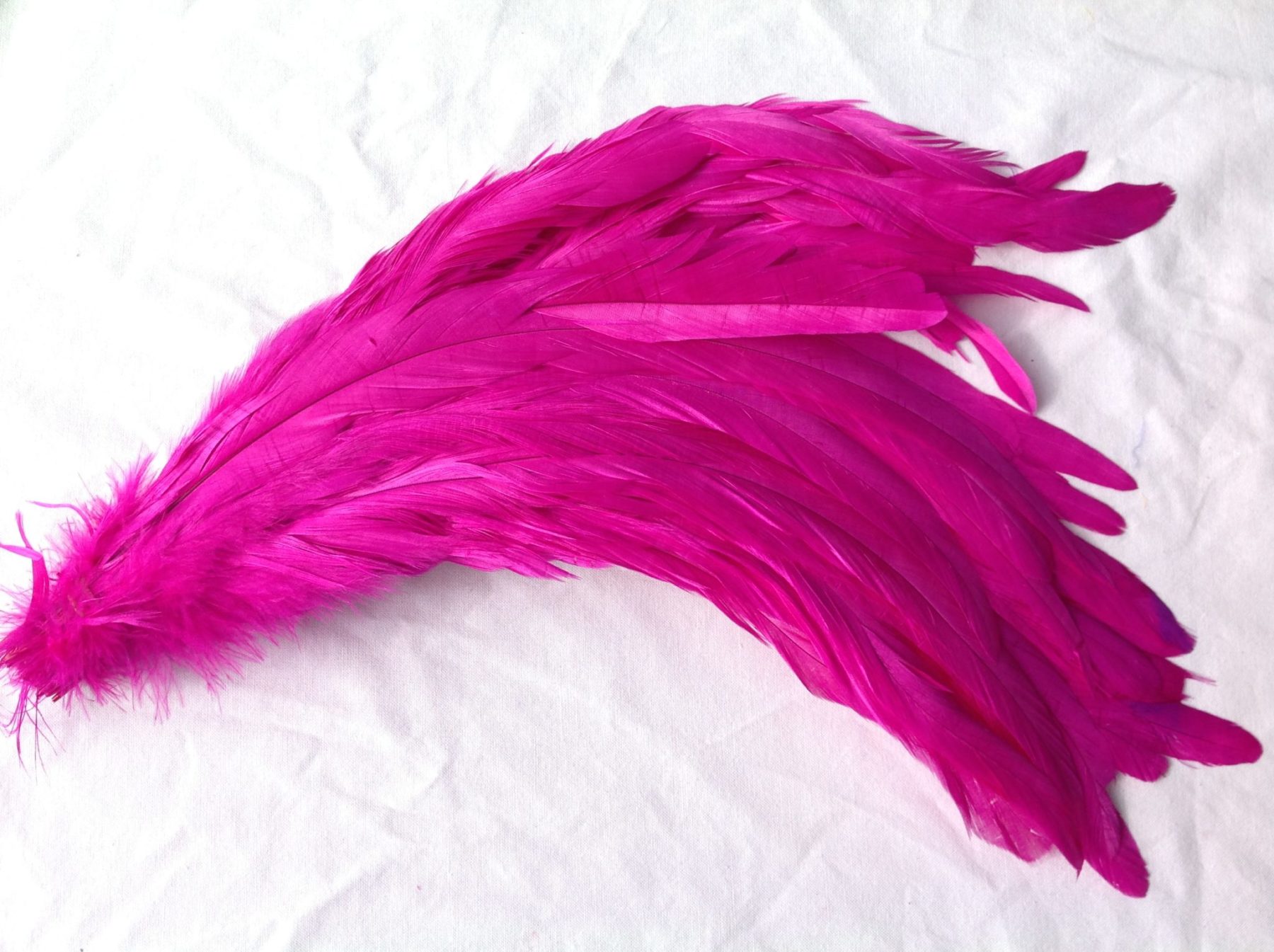 Fuchsia Hot Pink Rooster Feathers Short Schlappen