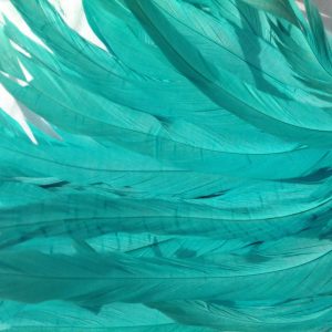 Aqua Blue Rooster Feathers