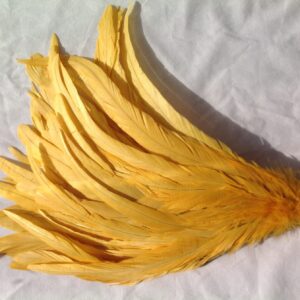 Golden Yellow Rooster Feathers