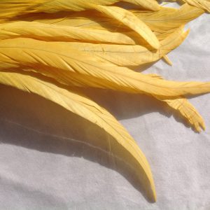 Golden Yellow Rooster Feathers