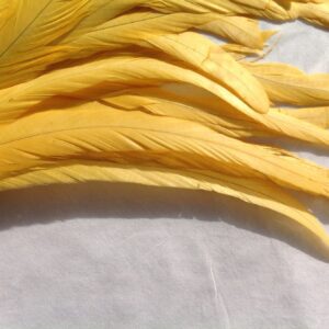 Golden Yellow Rooster Feathers