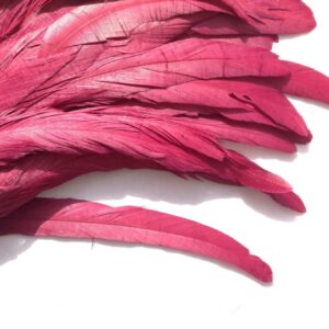 Wine Red Rooster Feathers
