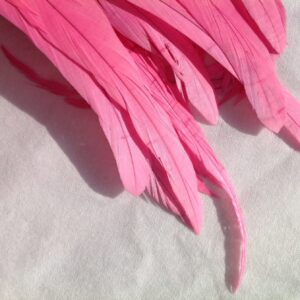 Bubblegum Pink Rooster Feathers