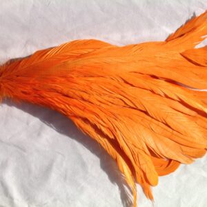 Bright Orange Rooster Feathers