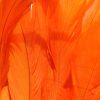 Bright Orange Rooster Feathers