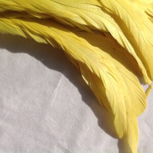 Lemon Yellow Rooster Feathers