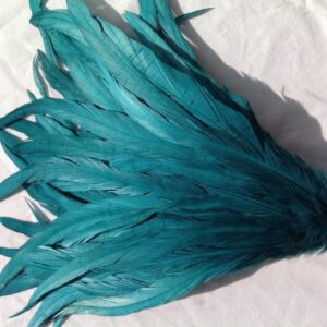 Teal Green Rooster Feathers
