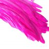 Fuchsia Pink Rooster Feathers