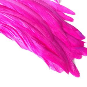 Fuchsia Pink Rooster Feathers
