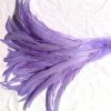 Lilac Purple Rooster Feathers