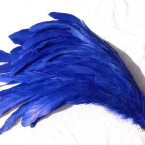 Electric Blue Rooster Feathers