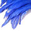 Electric Blue Rooster Feathers