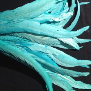 Aqua Rooster Feathers