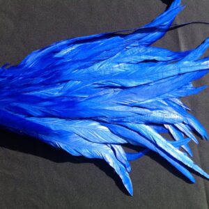 Electric Blue Rooster Feathers