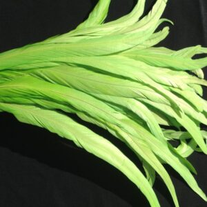 Chartreuse Green Rooster Feathers Long