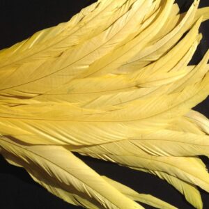 Golden Yellow Rooster