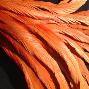 Burnt Orange Rooster