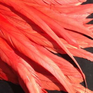 Coral Red Rooster