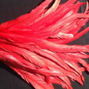 Scarlet Red Rooster