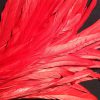 Scarlet Red Rooster