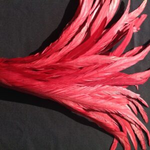 Wine Red Rooster