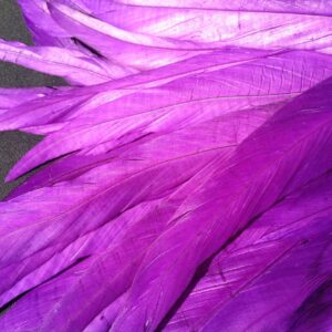 Violet Purple Rooster Feathers