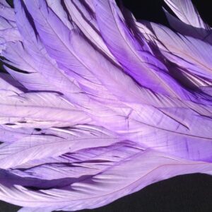 Lilac Purple Rooster Feathers