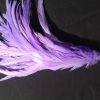 Lilac Purple Rooster Feathers