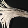 Ivory White Rooster Feathers