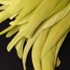 Chartreuse Green Rooster Feathers