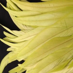 Chartreuse Green Rooster Feathers