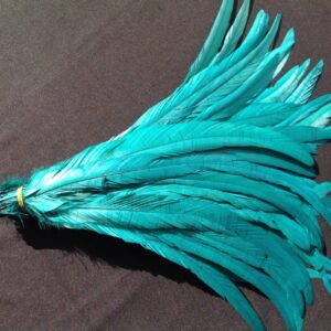 Teal Green Rooster Feathers