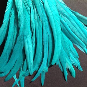 Teal Green Rooster Feathers
