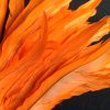 Bright Orange Rooster Feathers