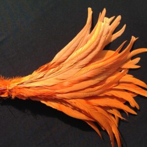 Bright Orange Rooster