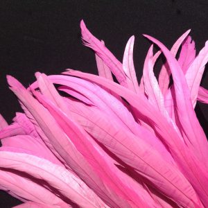 Bubblegum Pink Rooster Feathers