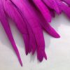Byzantine Purple Rooster Feathers