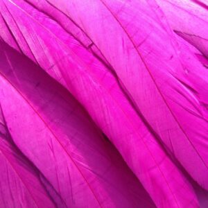 Byzantine Purple Rooster Feathers