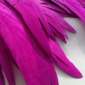 Byzantine Purple Rooster Feathers
