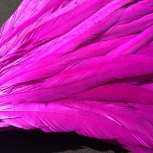 Byzantine Purple Rooster Feathers