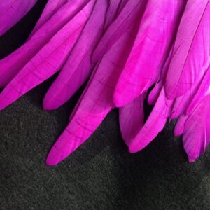 Byzantine Purple Rooster Feathers
