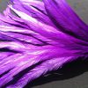 Cadbury Purple Rooster Feathers