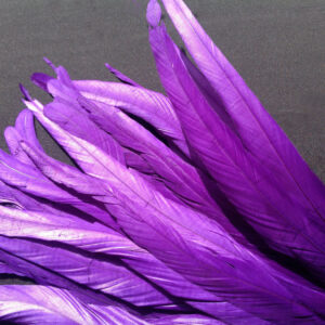 Cadbury Purple Rooster Feathers