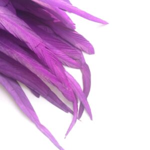 Cadbury Purple Rooster Feathers