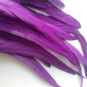 Cadbury Purple Rooster Feathers