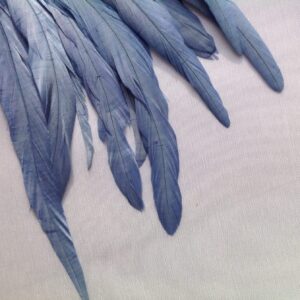 Cornflower Blue Rooster Feathers