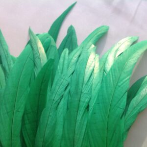 Emerald Green Rooster Feathers