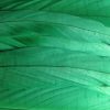 Emerald Green Rooster Feathers