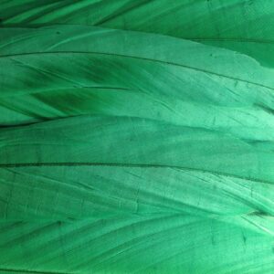 Emerald Green Rooster Feathers