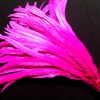 Fuchsia Pink Rooster Feathers